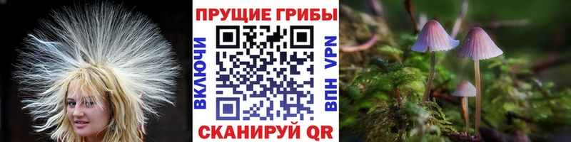 ОМГ ОМГ зеркало Тобольск Псилоцибиновые грибы прущие грибы